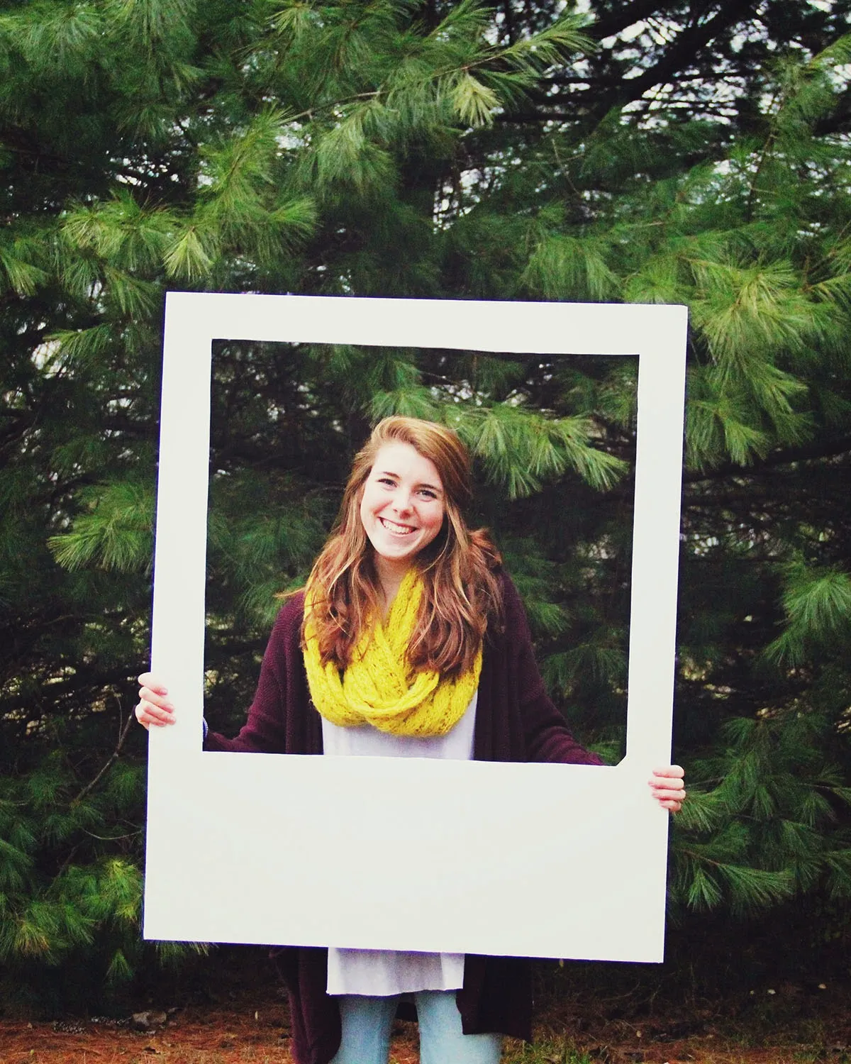 14382 cow head kitchen decor rustic