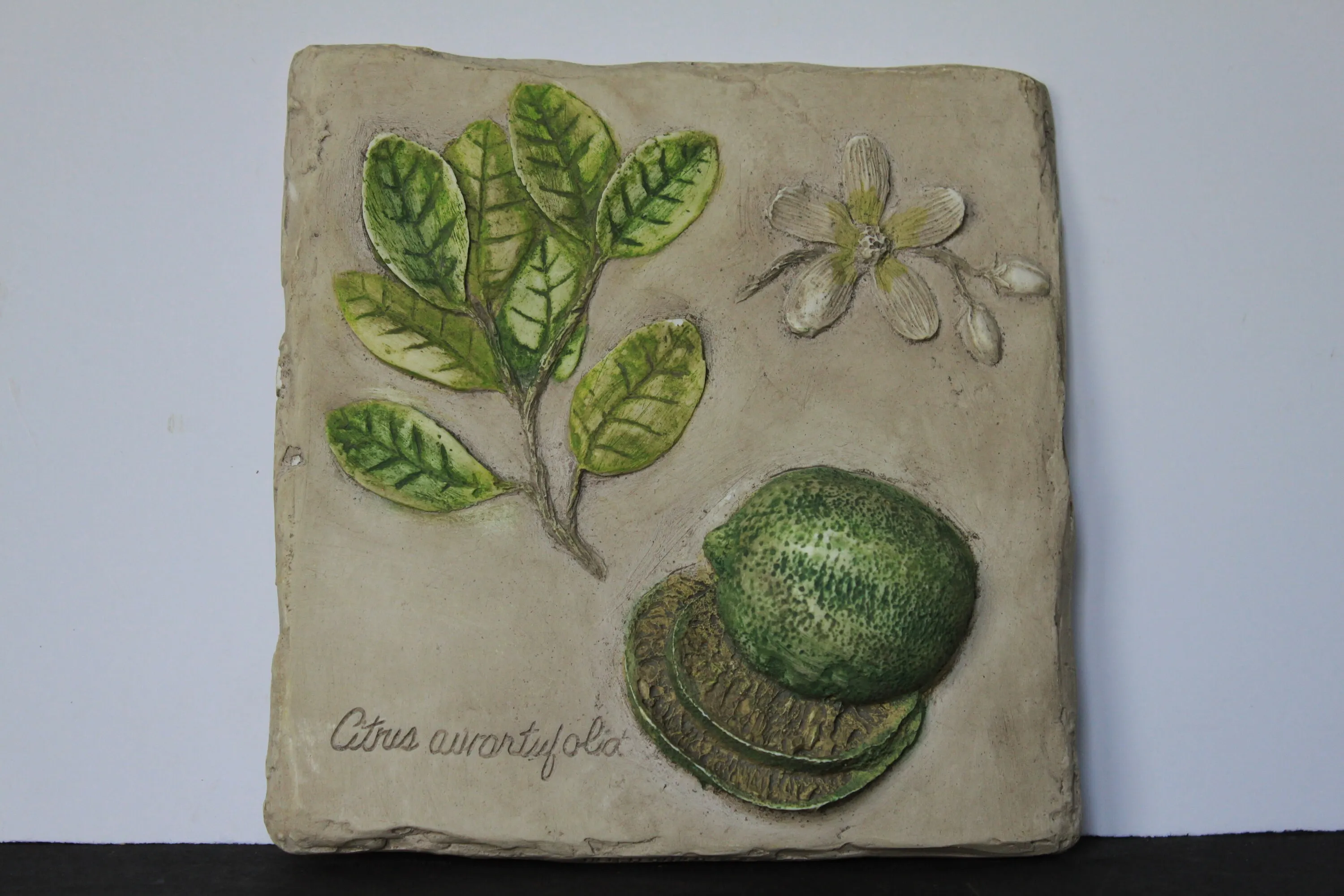 14420 vegetable hanging in baskets