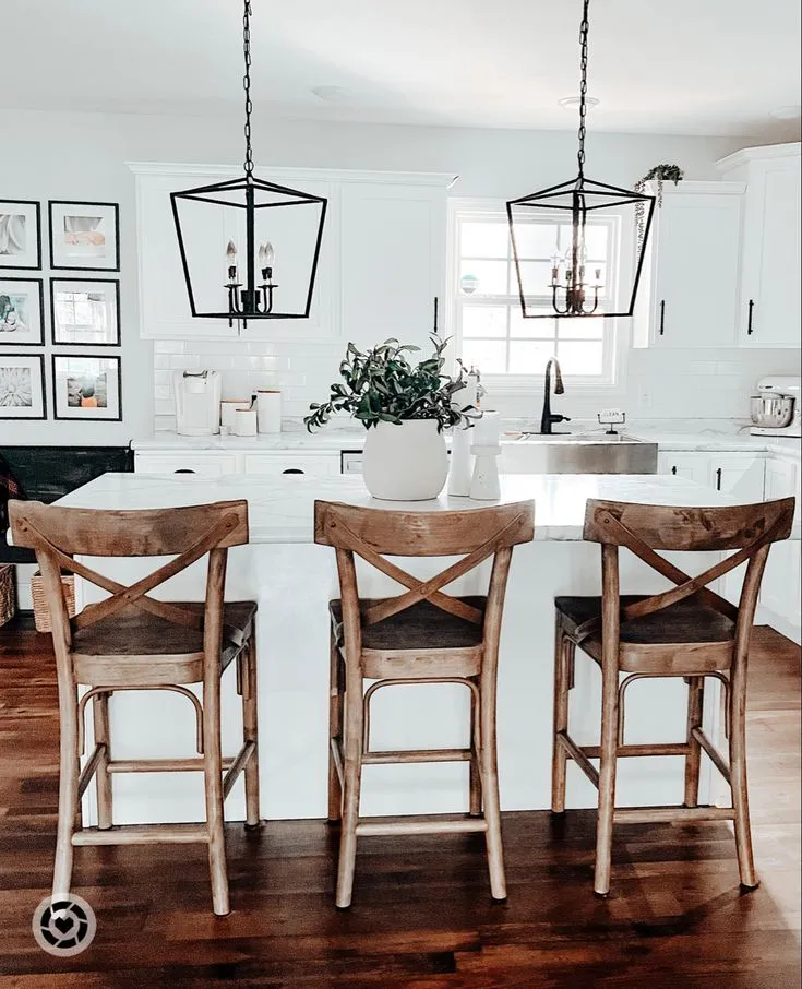 14425 farmhouse kitchen plants