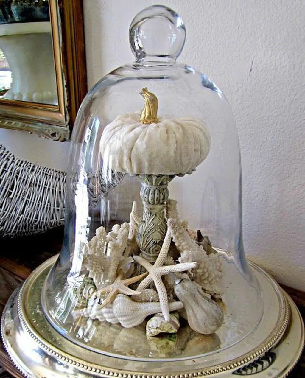 14434 glass jar storage