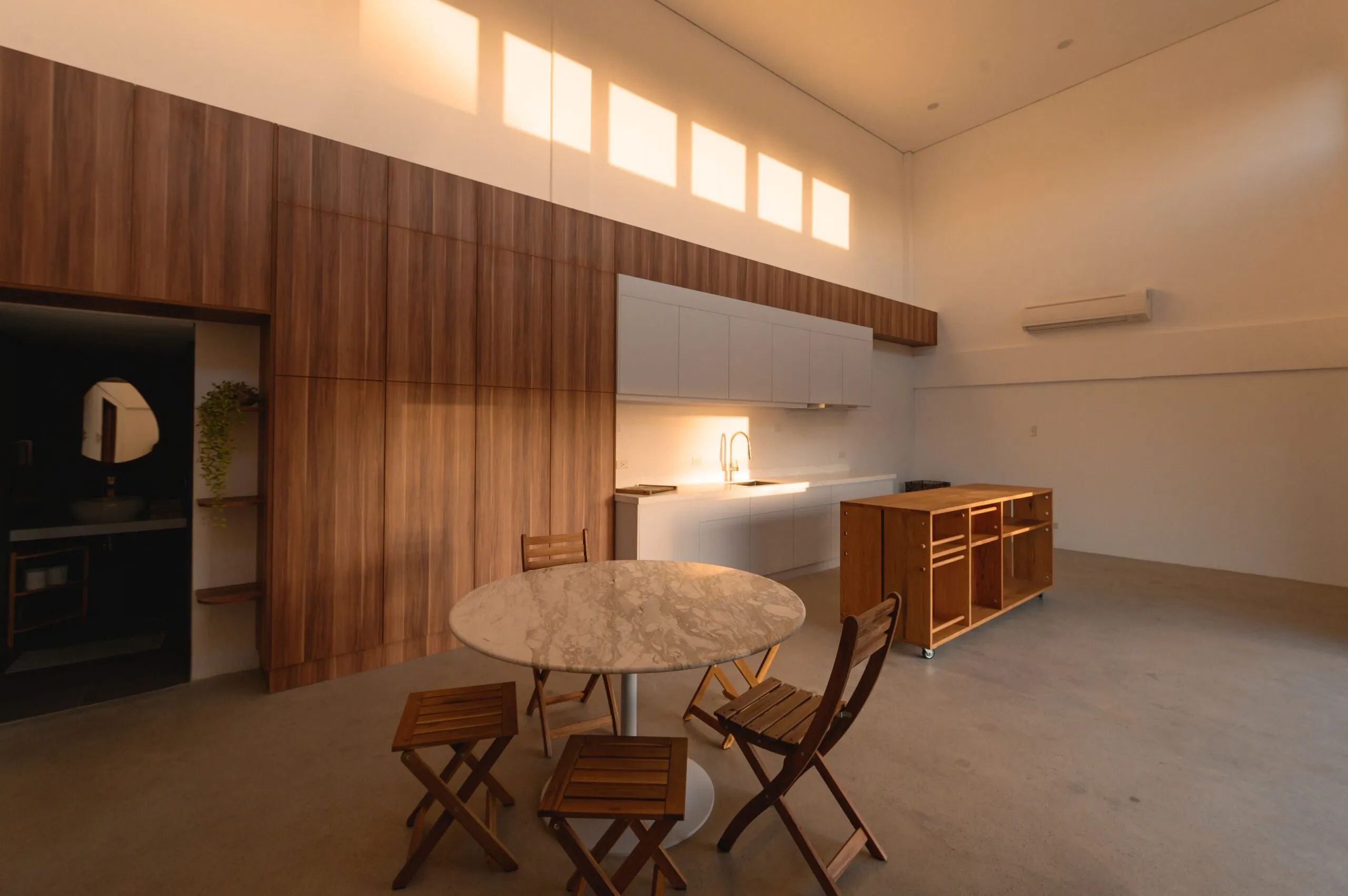 14455 plants studio kitchen