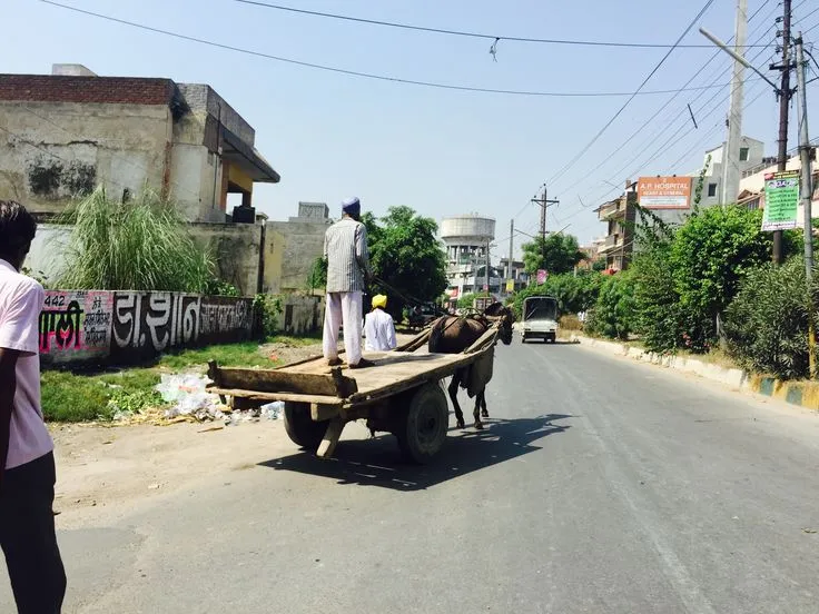 14457 kitchen color palette