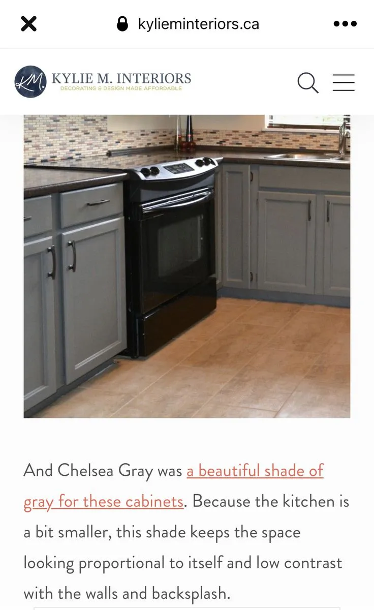 14488 razorbacks kitchen linens