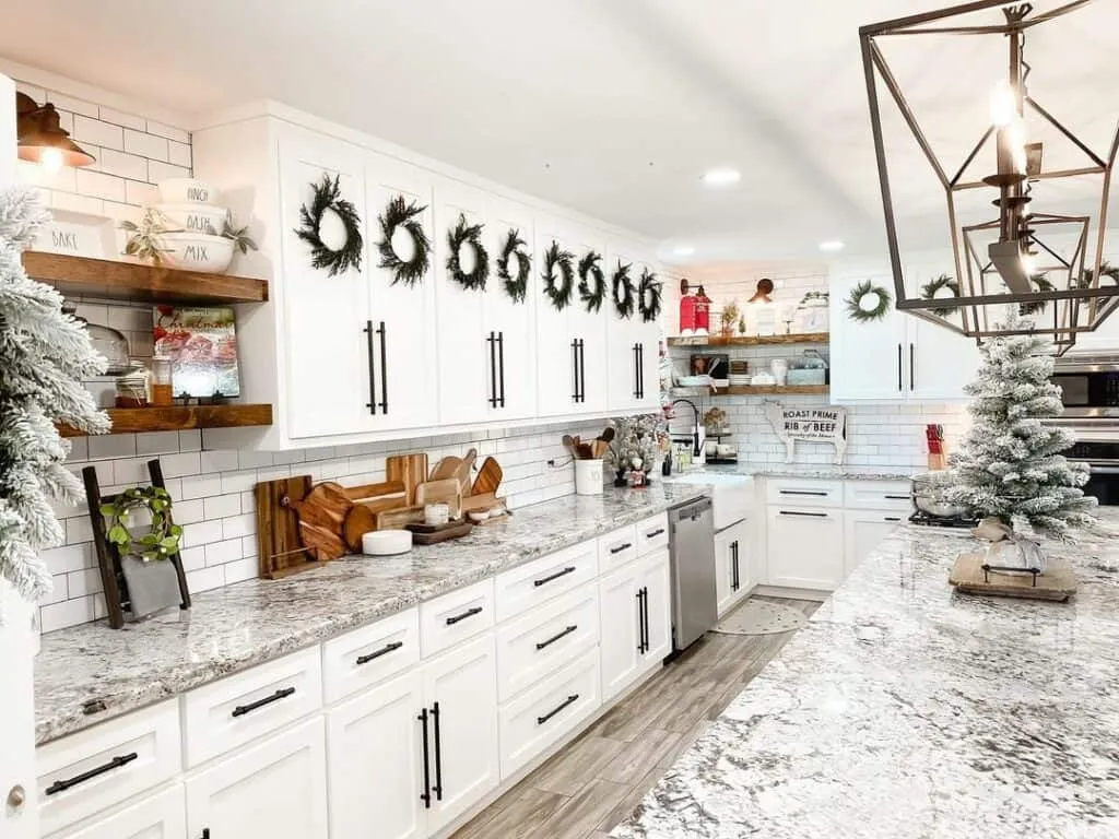 14493 plants in kitchen